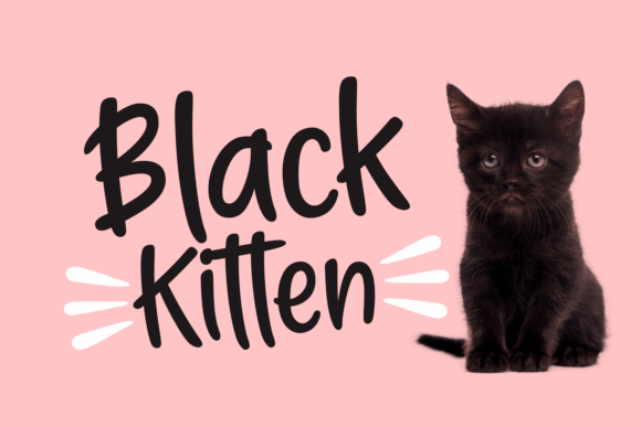 Black Kitten: A Modern Handwritten Typeface for Creative Branding