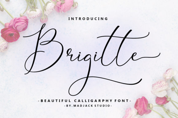 Brigitte: The Script Font That Elevates Your Visual Campaigns